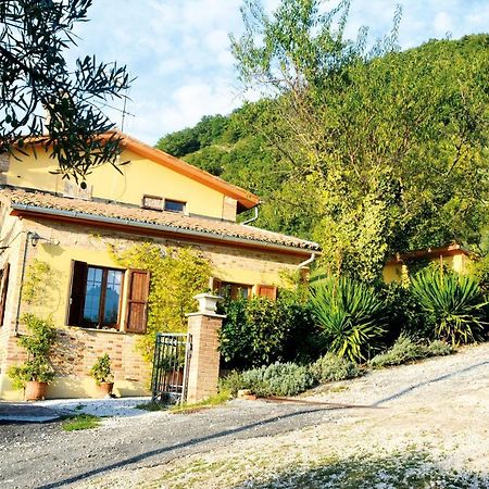Villa Mischianti Gubbio Dış mekan fotoğraf