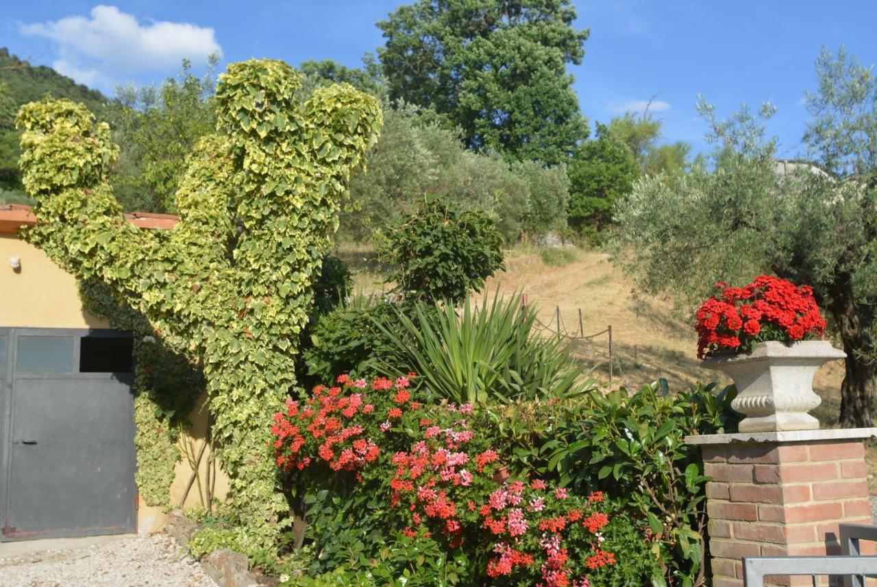 Villa Mischianti Gubbio Dış mekan fotoğraf