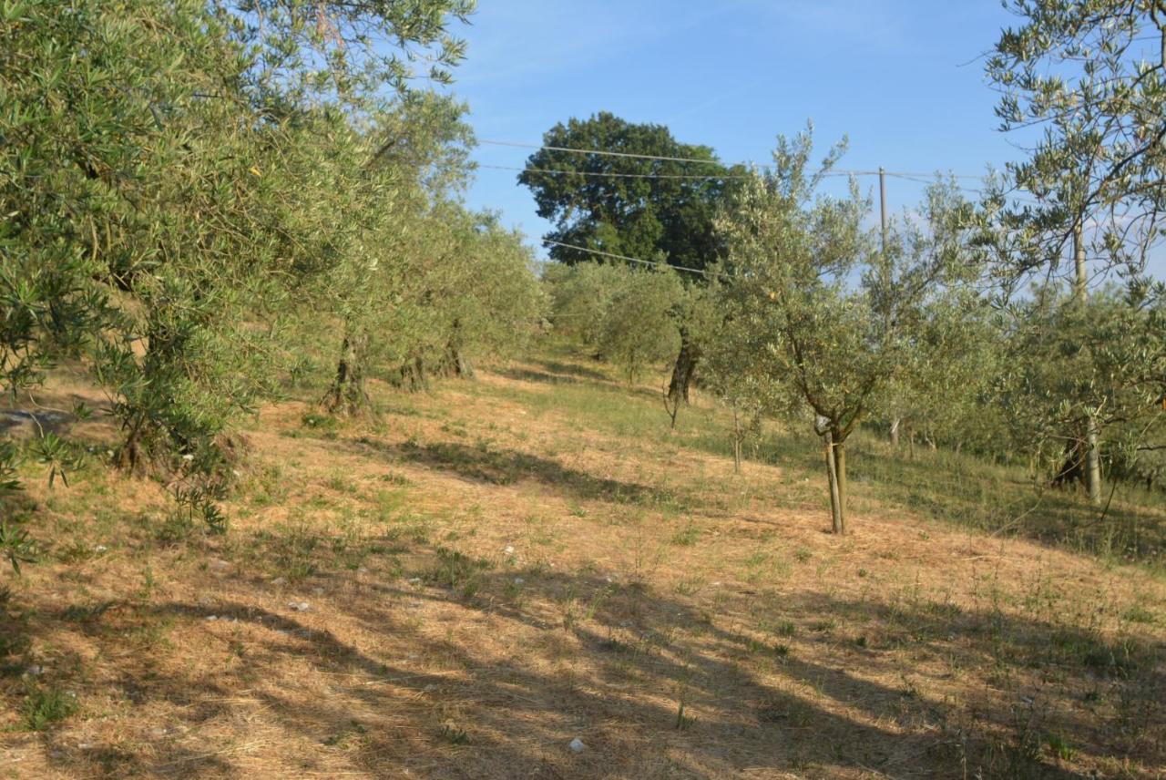 Villa Mischianti Gubbio Dış mekan fotoğraf